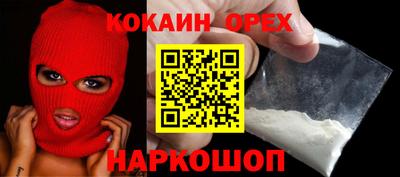 крисы Гай