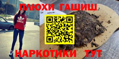 крисы Гай