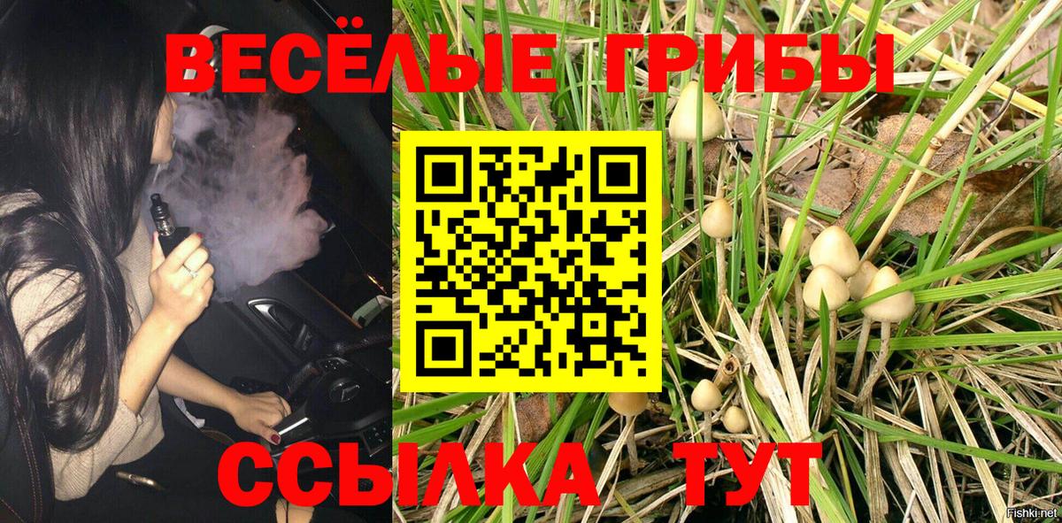 Псилоцибиновые грибы ЛСД  купить наркотик  Магнитогорск  Вход с VPN 